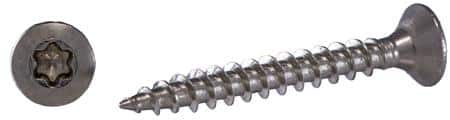 Vvs skrue linsehoved a2 6x100 t30